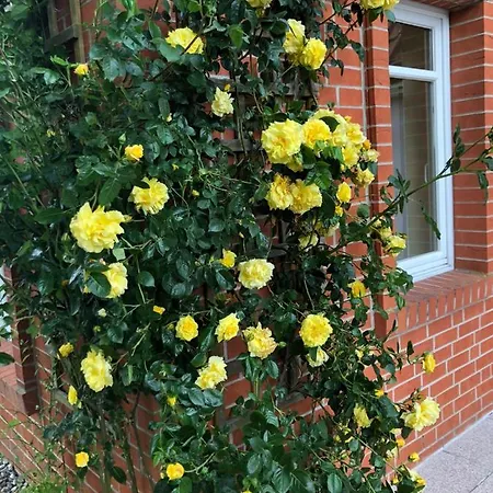 Gutshaus 게스트하우스