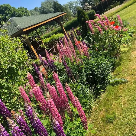 Gutshaus 3* Bliesekow